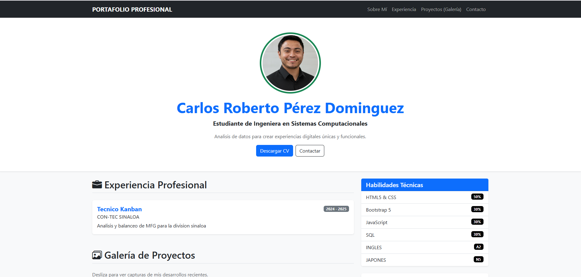 Captura de pantalla del Portafolio Web